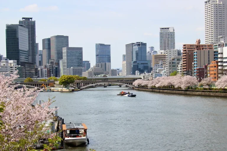 Dotonbori Naniwa Cruise & Digital Ticket: Osaka Metro & Osaka City Bus