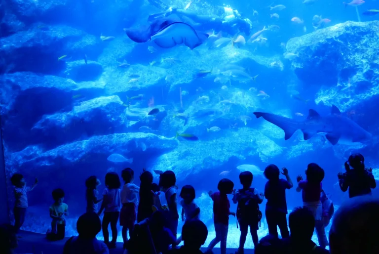 Sumida Aquarium Admission Ticket